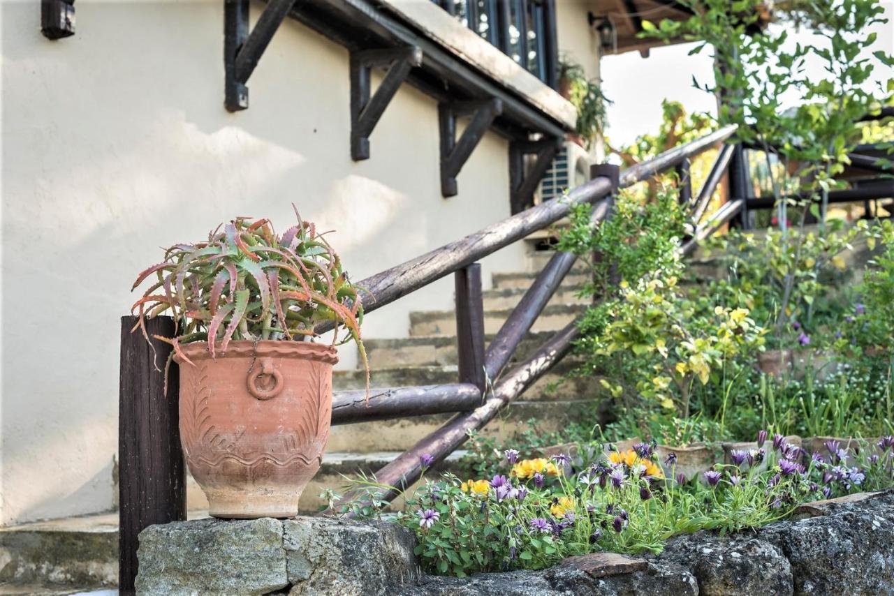 Ampelos Estate Akráta Exterior foto